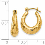 Загрузить изображение в средство просмотра галереи, 14K Yellow Gold Shrimp Hammered Hoop Earrings
