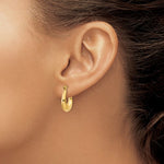Загрузить изображение в средство просмотра галереи, 14K Yellow Gold Classic Polished Hoop Earrings

