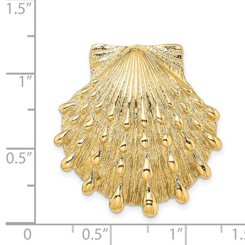 14k Yellow Gold Seashell Clam Scallop Lion's Paw Shell Chain Slide Pendant Charm