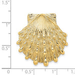 將圖片載入圖庫檢視器 14k Yellow Gold Seashell Clam Scallop Lion&#39;s Paw Shell Chain Slide Pendant Charm
