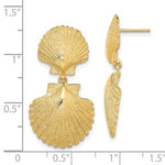 画像をギャラリービューアに読み込む, 14k Yellow Gold Double Seashell Clam Scallop Shell Dangle Earrings
