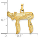 Charger l&#39;image dans la galerie, 14K Yellow Gold Chai Symbol Brushed Finish Pendant Charm
