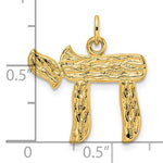 Lade das Bild in den Galerie-Viewer, 14K Yellow Gold Chai Symbol Textured Pendant Charm
