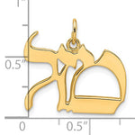 將圖片載入圖庫檢視器 14k Yellow Gold Mazel Symbol Pendant Charm
