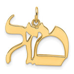 將圖片載入圖庫檢視器 14k Yellow Gold Mazel Symbol Pendant Charm
