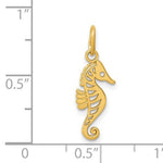 Lataa kuva Galleria-katseluun, 14k Yellow Gold Seahorse Pendant Charm
