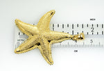 Lade das Bild in den Galerie-Viewer, 14k Yellow Gold Starfish Textured Large Pendant Charm
