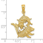 Ladda upp bild till gallerivisning, 14k Yellow Gold Pisces Zodiac Horoscope Large Pendant Charm
