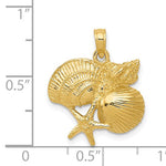 Kép betöltése a galériamegjelenítőbe: 14k Yellow Gold Shell Seashell Starfish Cluster Pendant Charm
