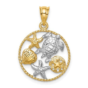 14k Yellow Gold Rhodium Turtle Sand Dollar Starfish Seashell Shell Pendant Charm