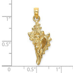 Indlæs billede til gallerivisning 14k Yellow Gold Conch Shell Seashell 3D Pendant Charm
