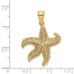 Cargar imagen en el visor de la galería, 14k Yellow Gold Starfish Ocean Island Life Pendant Charm
