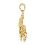 Carica l&#39;immagine nel visualizzatore di Gallery, 14k Yellow Gold Lobster Moveable Pendant Charm
