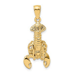 Загрузить изображение в средство просмотра галереи, 14k Yellow Gold Lobster Moveable Pendant Charm
