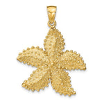 Afbeelding in Gallery-weergave laden, 14k Yellow Gold Starfish Ocean Pendant Charm
