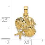 이미지를 갤러리 뷰어에 로드 , 14k Yellow Gold Shell Seashell Starfish Sand Dollar Cluster Pendant Charm
