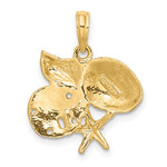 Cargar imagen en el visor de la galería, 14k Yellow Gold Shell Seashell Starfish Sand Dollar Cluster Pendant Charm
