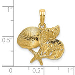 Загрузить изображение в средство просмотра галереи, 14k Yellow Gold Shell Seashell Starfish Sand Dollar Cluster Pendant Charm
