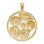 Kép betöltése a galériamegjelenítőbe: 14k Yellow Gold Rhodium Sand Dollar Starfish Scallop Clam Conch Shell Circle Pendant Charm
