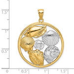 Load image into Gallery viewer, 14k Yellow Gold Rhodium Sand Dollar Starfish Scallop Clam Conch Shell Circle Pendant Charm
