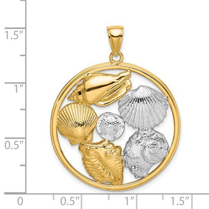 14k Yellow Gold Rhodium Sand Dollar Starfish Scallop Clam Conch Shell Circle Pendant Charm