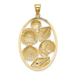 이미지를 갤러리 뷰어에 로드 , 14k Yellow Gold Rhodium Sand Dollar Starfish Snail Scallop Clam Conch Shell Pendant Charm
