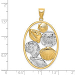 이미지를 갤러리 뷰어에 로드 , 14k Yellow Gold Rhodium Sand Dollar Starfish Snail Scallop Clam Conch Shell Pendant Charm
