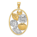 Load image into Gallery viewer, 14k Yellow Gold Rhodium Sand Dollar Starfish Snail Scallop Clam Conch Shell Pendant Charm
