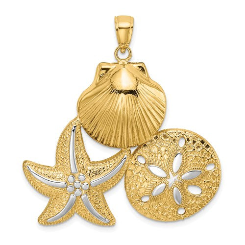 14k Yellow Gold Rhodium Sand Dollar Starfish Scallop Shell Pendant Charm