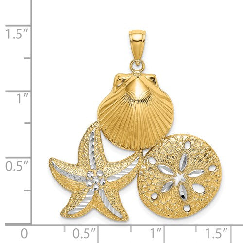 14k Yellow Gold Rhodium Sand Dollar Starfish Scallop Shell Pendant Charm