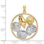 Kép betöltése a galériamegjelenítőbe: 14k Yellow Gold Rhodium Sand Dollar Starfish Scallop Clam Conch Shell Circle Pendant Charm
