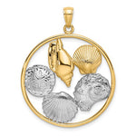 Загрузить изображение в средство просмотра галереи, 14k Yellow Gold Rhodium Sand Dollar Starfish Scallop Clam Conch Shell Circle Pendant Charm
