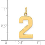Kép betöltése a galériamegjelenítőbe: 14k Yellow Gold Number 2 Two Pendant Charm
