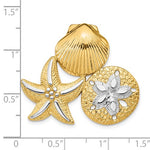 Kép betöltése a galériamegjelenítőbe: 14k Yellow Gold Rhodium Sand Dollar Starfish Scallop Shell Chain Slide Pendant Charm
